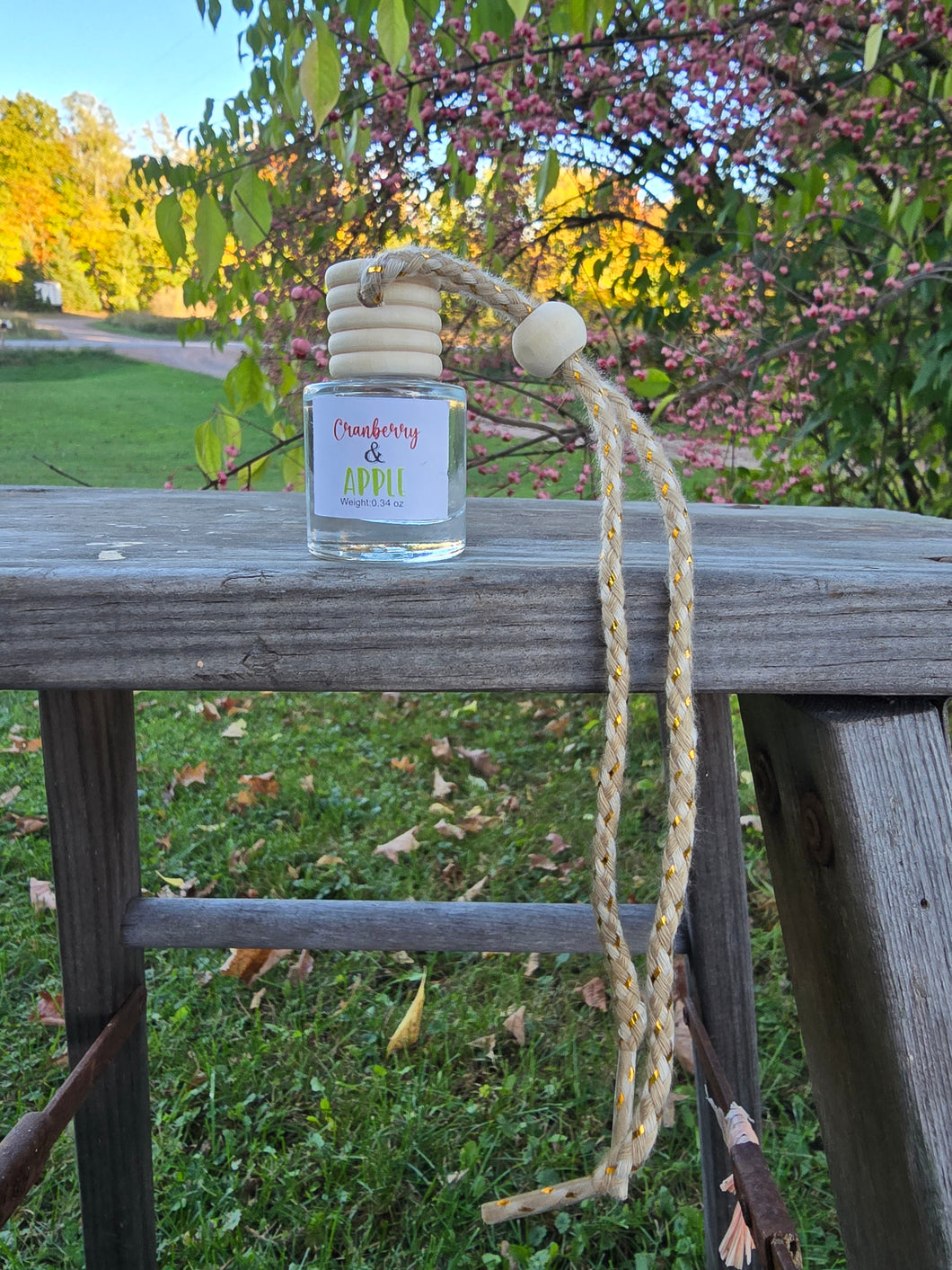 Cranberry & Apple (Scented) Car Diffuser