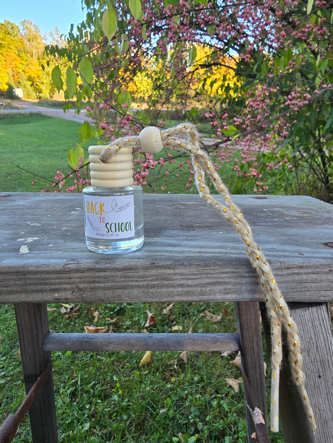 Back to School Car Diffuser