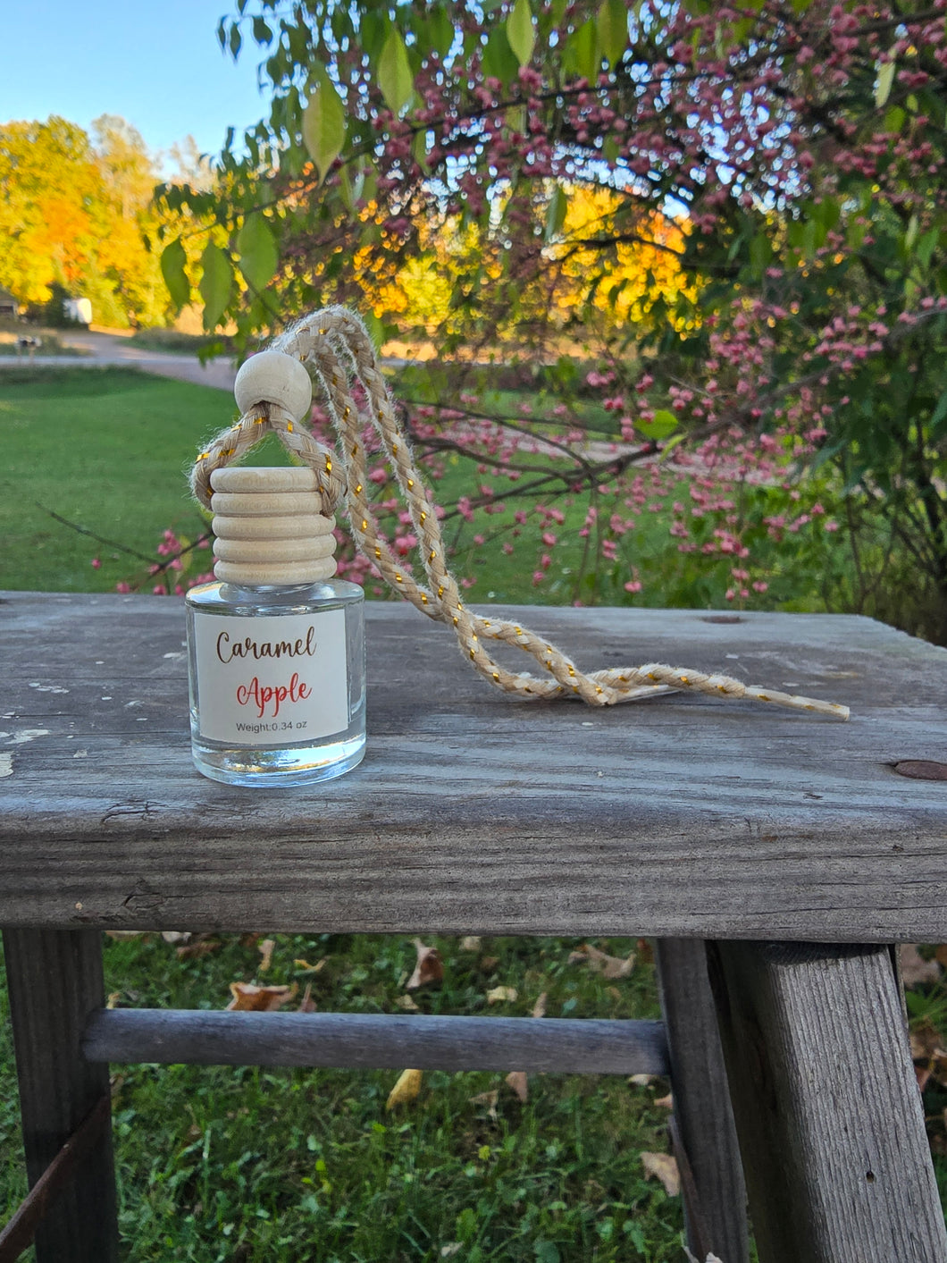 Caramel Apple Car Diffuser