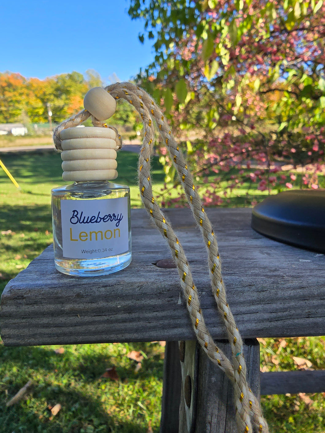 Blueberry Lemon Car Diffuser