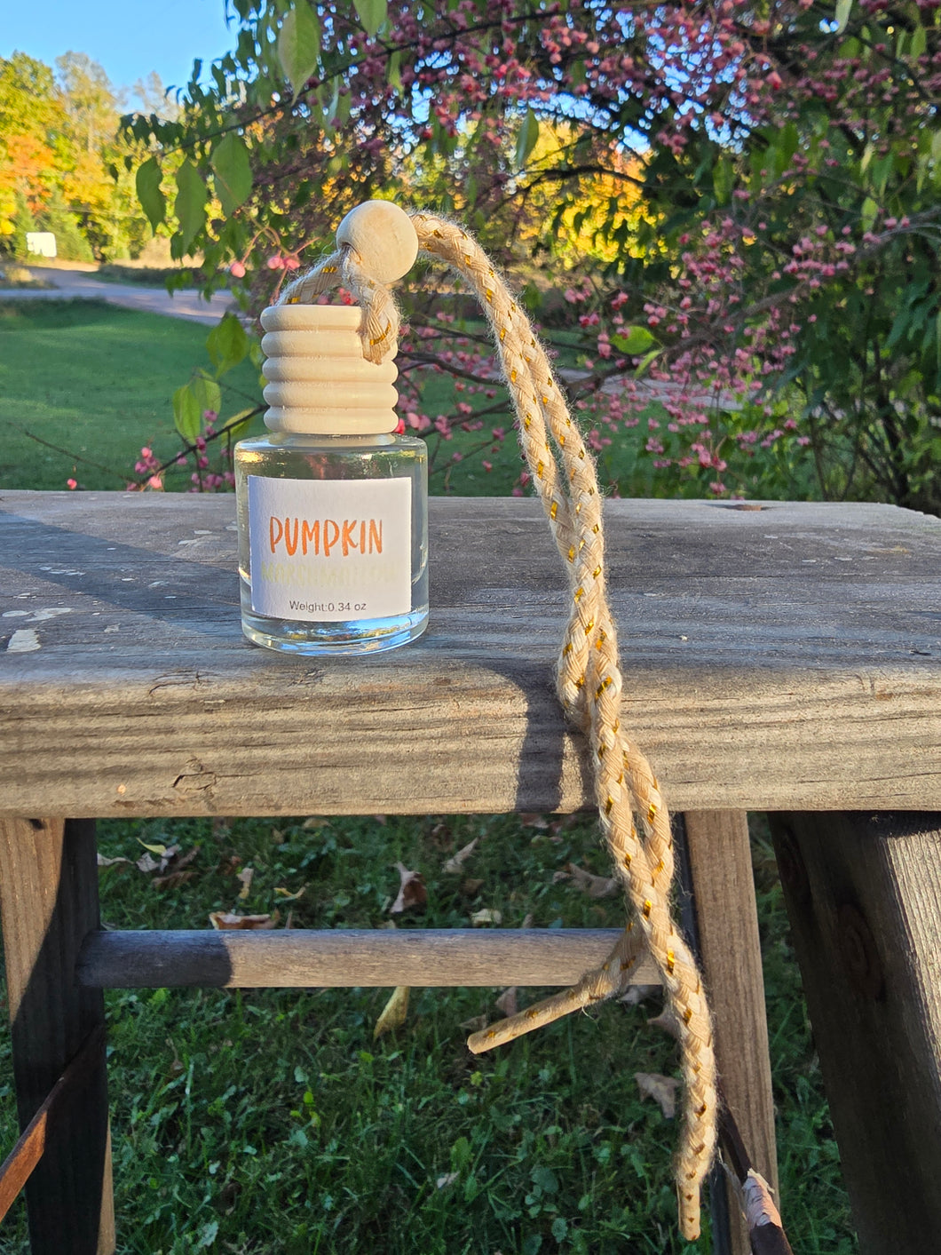 Pumpkin Marshmallow Car Diffuser